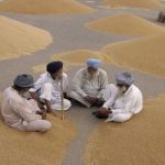 For farmers to make money, the government should move out of procurement